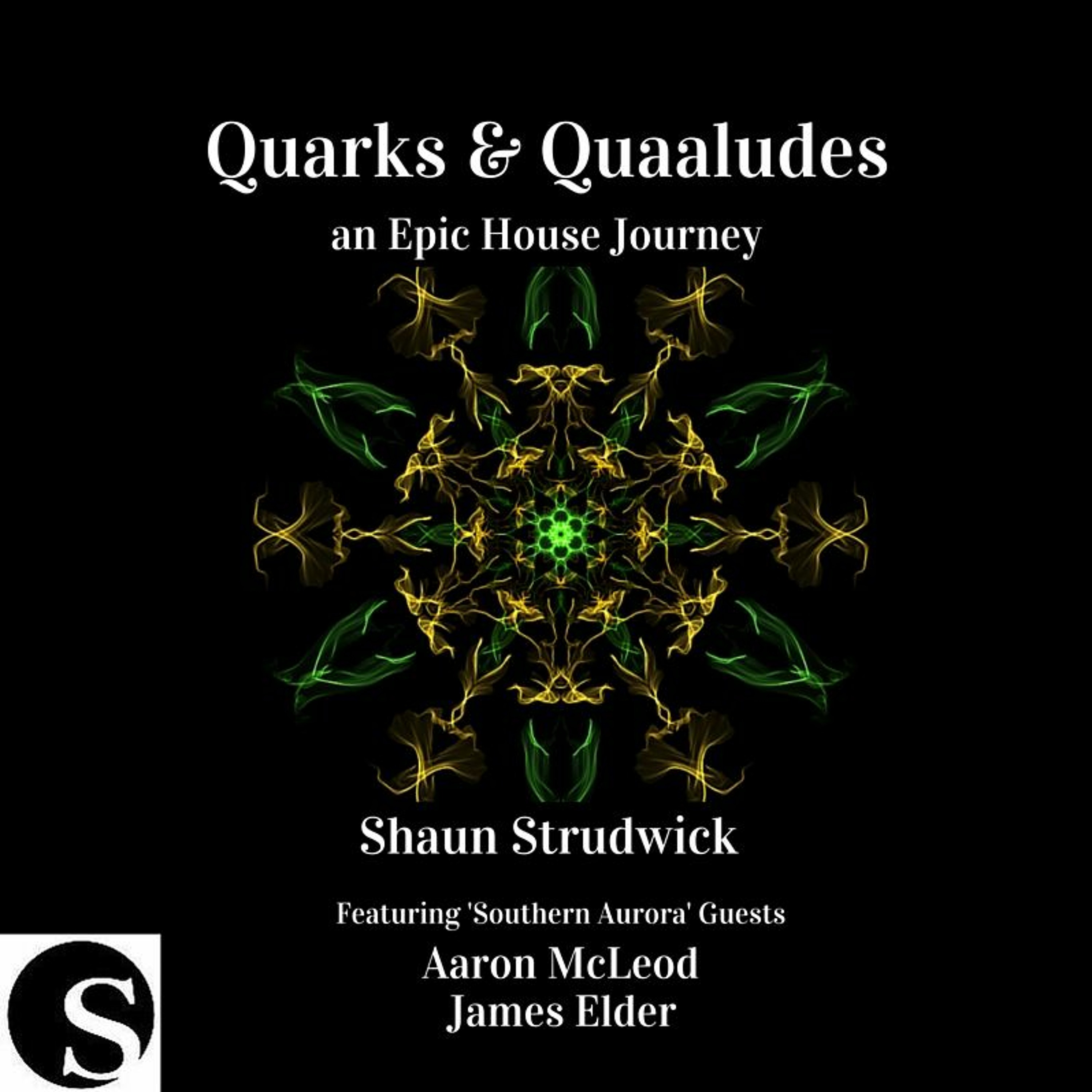Quarks & Quaaludes #EpicHouseJourney