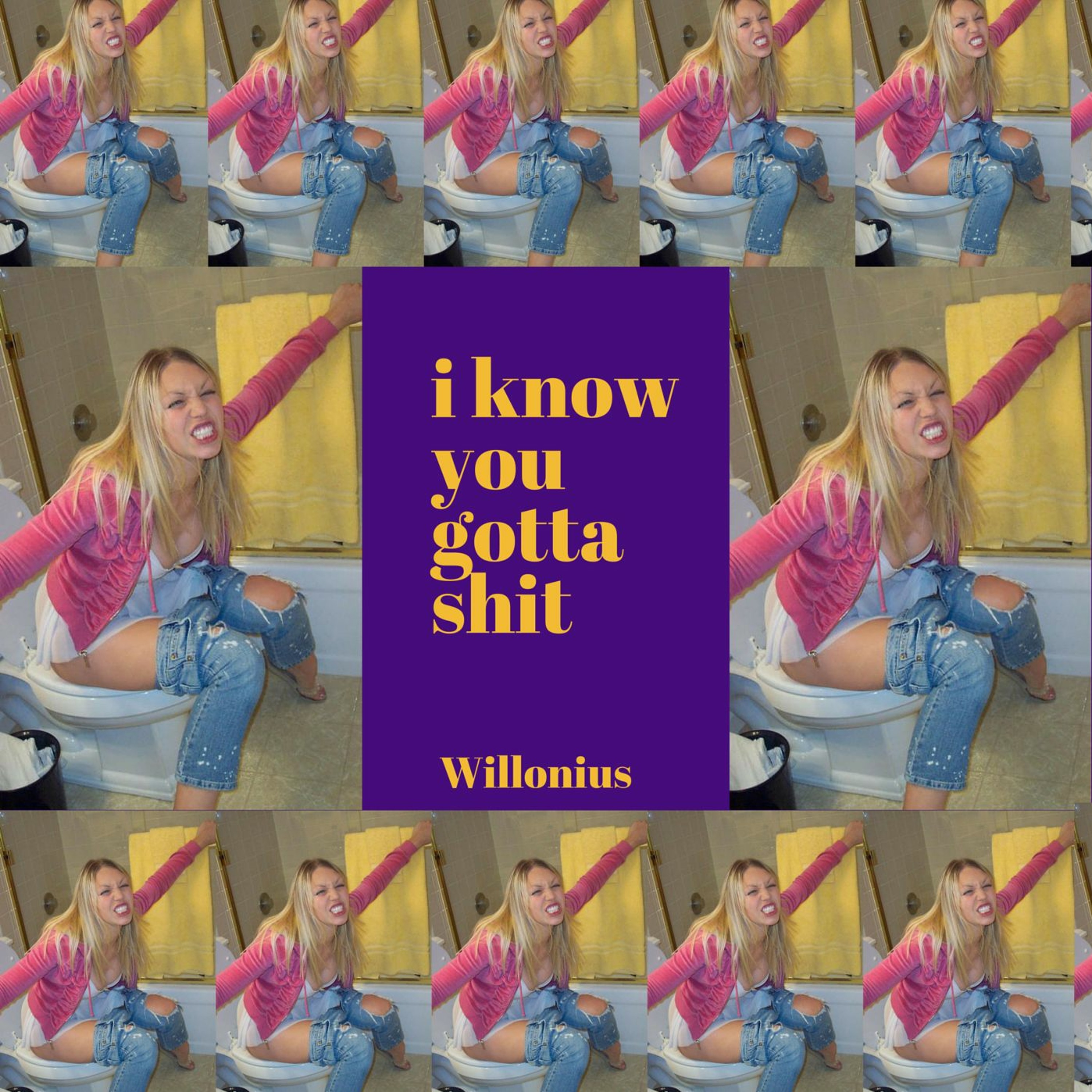 King Willonius - I Know You Gotta Shit episode artwork
