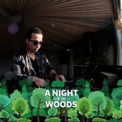 Bruce Sawyer @ A Night In The Woods 2016