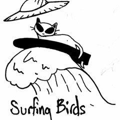 Surfing Birds