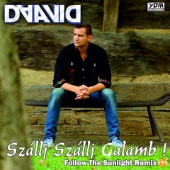 Daavid - Szállj Szállj Galamb (Follow The Sunlight Radio Edit)