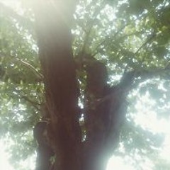 100BPMの鼓動 (FB ReMix)