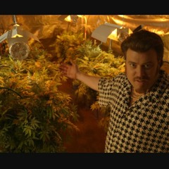 Trailer Park Trap (feat. TMONEY & Catastrophy)