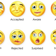 Emotions And Comotions