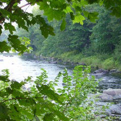 Woodhaven (live at Java John's, July 13, 2016)