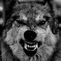 Tendencies ft psych b