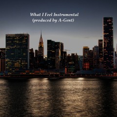 What I Feel Instrumental (produced by A-Gent)
