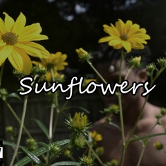 Sunflowers Sota ft Iman Sheray
