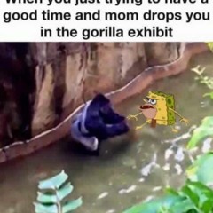 Filthy Frank - A True Friend (RIP HARAMBE)