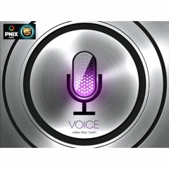 VOICE - seibin