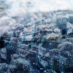 Blue Asphalt