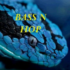 The Bass N Hop SeSSionS