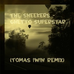 The Sneekers - Ghetto Superstar (Tomas Iwin Remix)