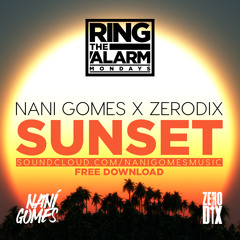Nani Gomes X ZeroDix - Sunset (Original Mix) FREE DOWNLOAD