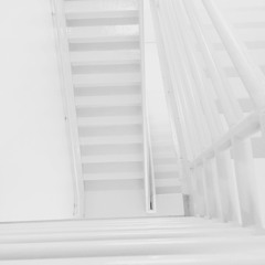 Reptile (The Church Cover)