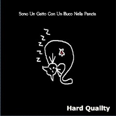 Sono Un Gatto Con Un Buco Nella Pancia