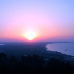 VOICES OF THE DEAD Vol. 1: UNREAL CITY / ROOTS THAT CLUTCH