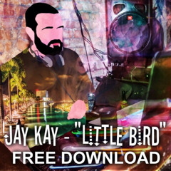 Jay Kay feat Annie Lennox - Little Bird **FREE DOWNLOAD**