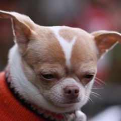 Promises - Thrice (cover)