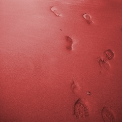 Torno Sui Miei Passi