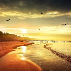 August 2016 - Summer Promises