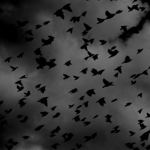 Dark Night [Dramatic / Tense / Epic / Strings / Piano]