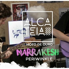 Marrakesh - Periwinkles live at Mofo de Ouro | ALCATEIA #01 | LBTMIA