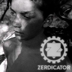 Zerdicator - Ungeszund (Original Mix) // Full Preview // LQ