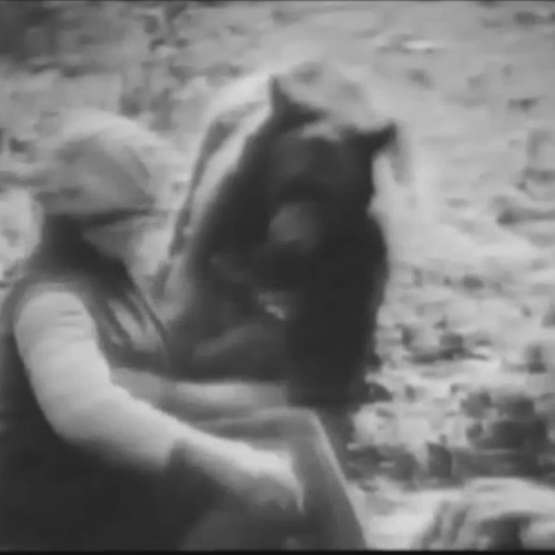 Bear with an Animal mask