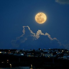 Bosy Btfrag 3la El Ayam - El Khanka - بوسي بتفرج على الأيام - تتر مسلسل الخانكة