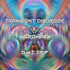 Transient Disorder & Micromaxx - D.M.T trip