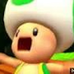 Toads House Floor Needs Mopping