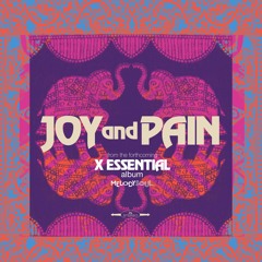 The Xtraordinair$ - Joy and Pain (feat. Churchboi) / X ESSENTIAL