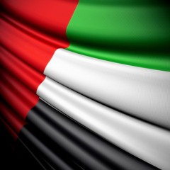 Dar Zayed