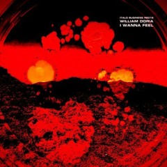 Out Now : William Doria - I Wanna Feel  - Dandi & Ugo  Remix - Italo Business records