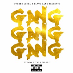 Steady X Tr3 X Woodz-Gang Gang Gang prod Steve Woodz