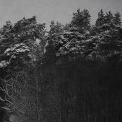 Yellow Panther - Fuck Em (Prod. Yellow Panther)