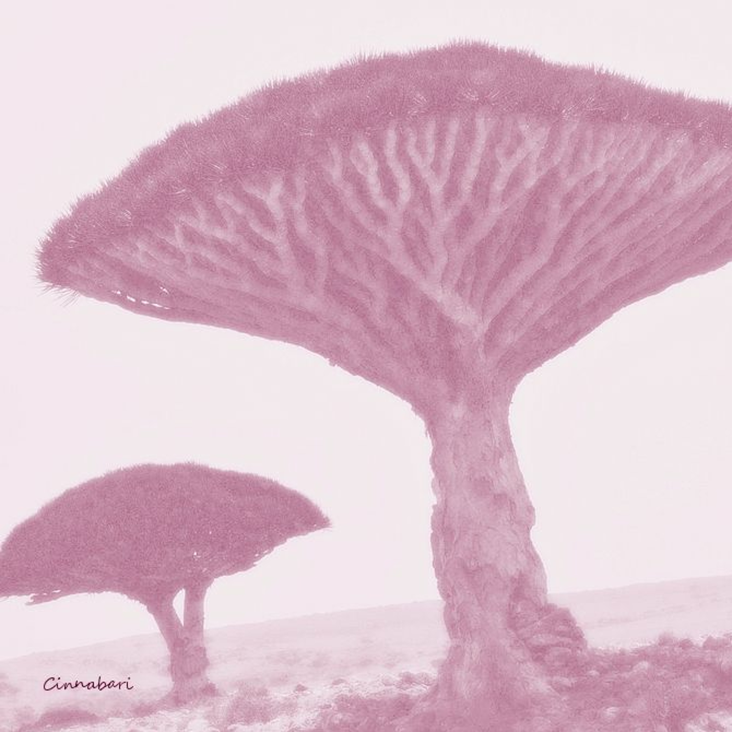 Cinnabari episode artwork