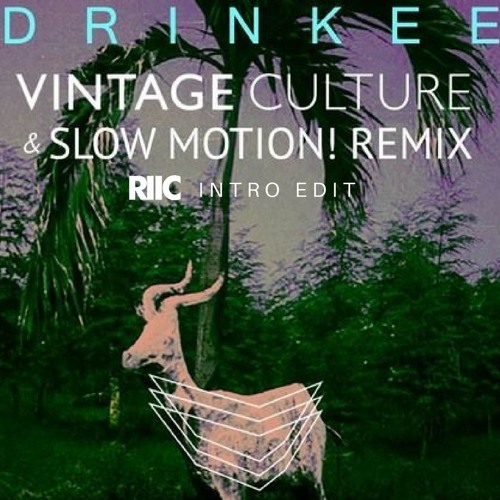 Stream Sofi Tukker - Drinkee (Vintage Culture & Slow Motion Remix.