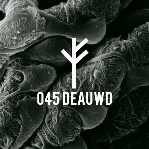 Forsvarlig Podcast Series 045 - Deauwd