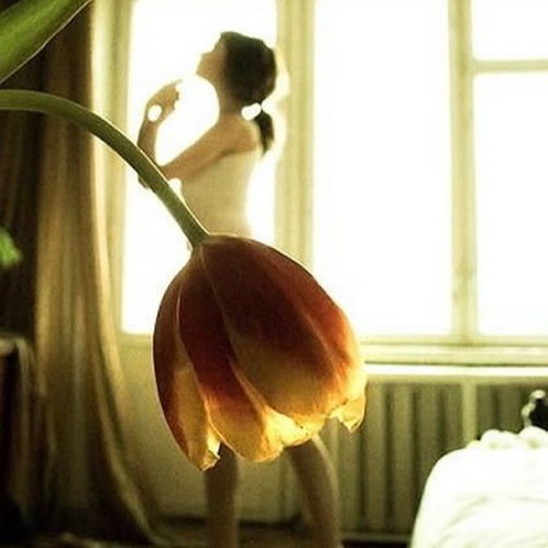 Classical Sessions