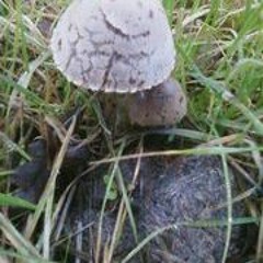 Get On It (The Original One Ange and I First made)