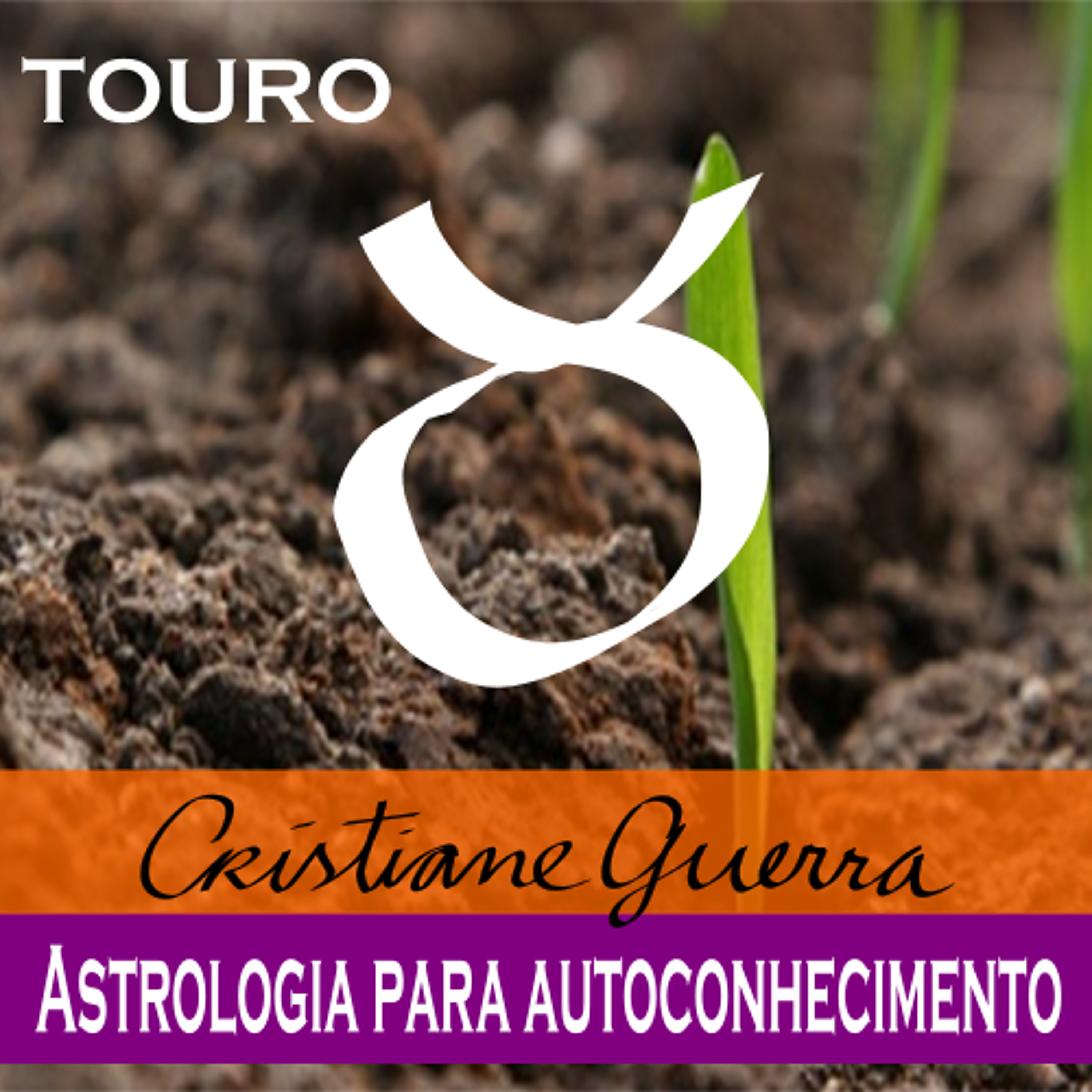 Touro-horóscopo 1 a 7/8/16 #Cristiane Guerra 120
