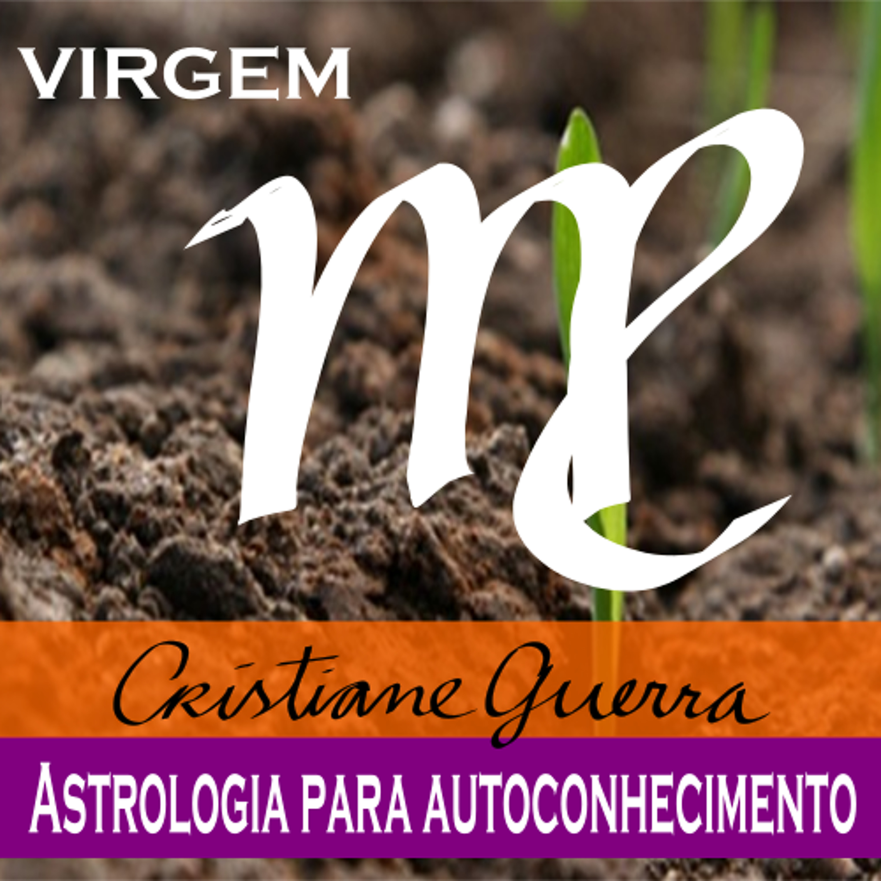 Virgem-horóscopo 1 a 7/8/16 #Cristiane Guerra 124