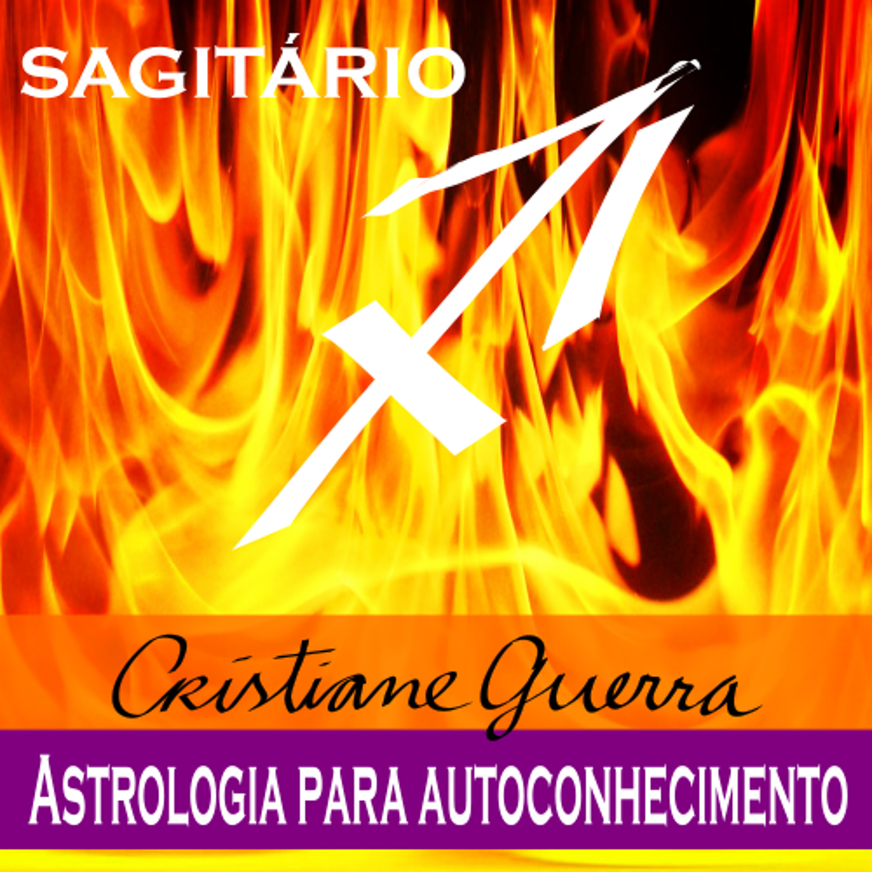 Sagitário-horóscopo 1 a 7/8/16 #Cristiane Guerra 127