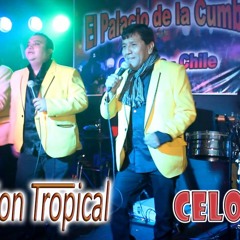 Fusion Tropical - Celoso(PRIMICIA 2016)