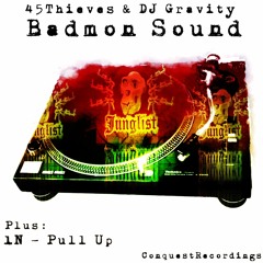 45Thieves & DJ Gravity Badmon Sound