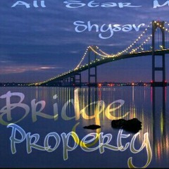 Shy sav X Bridge Property