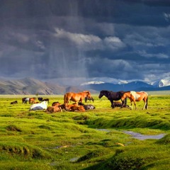Бүх Одод - Миний Монгол Наадам (All Stars - My Mongolian Naadam Festival)
