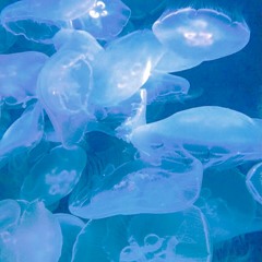 Midnight Drive Around Tokyo